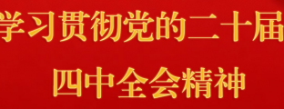 学习贯彻党的二十届四中全会精神
