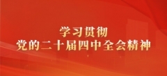 学习贯彻党的二十届四中全会精神